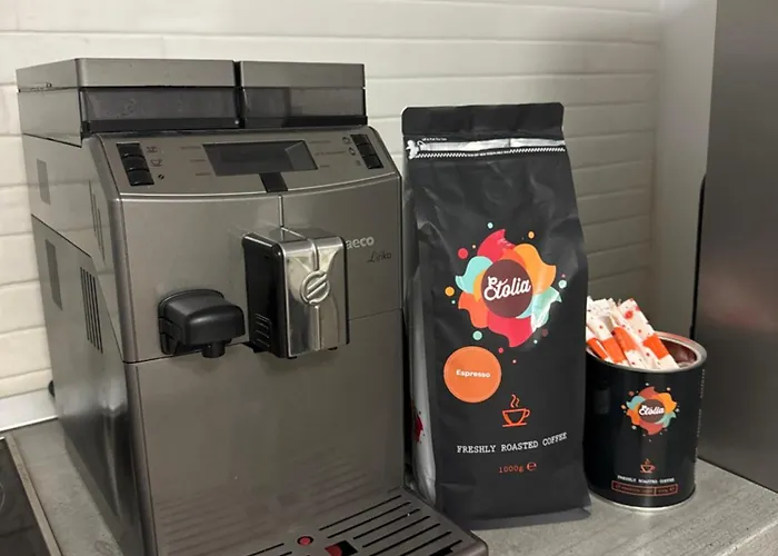 Designer 别墅 布加勒斯特